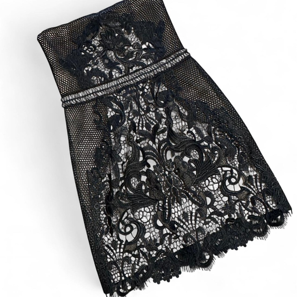 Express Back Strapless Sheer Lace Mesh Empire‎ Waist Mini Dress